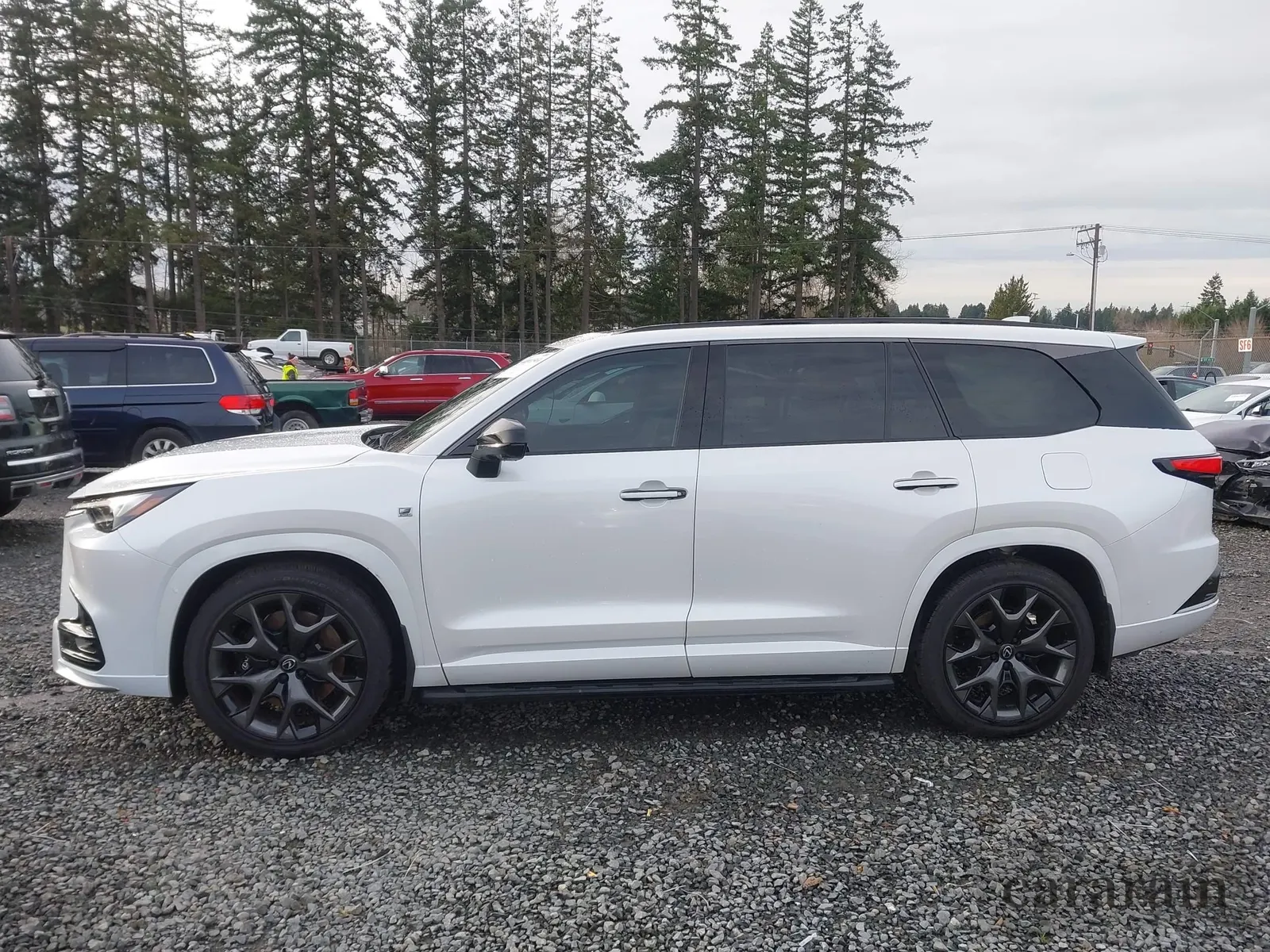 2025 Lexus TX 500h F Sport Luxury