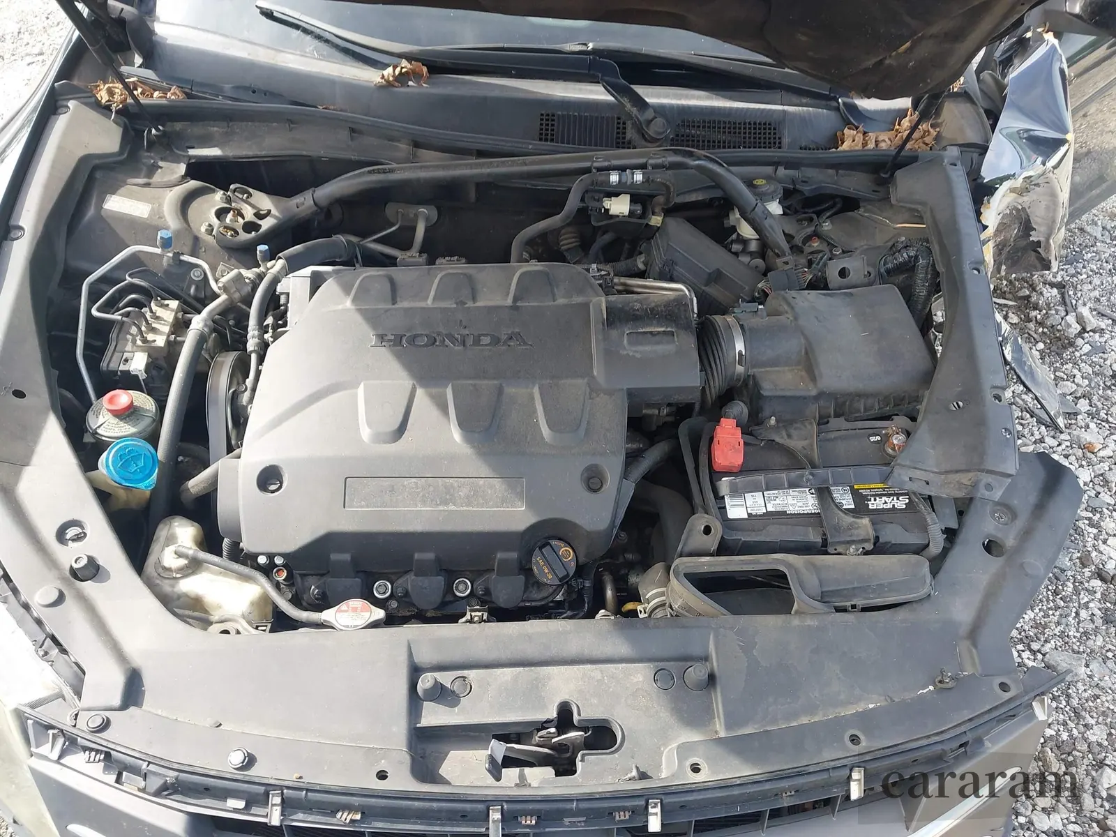 2010 Honda Crosstour EX-L