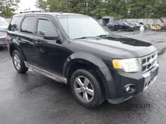 2010 Ford Escape Limited