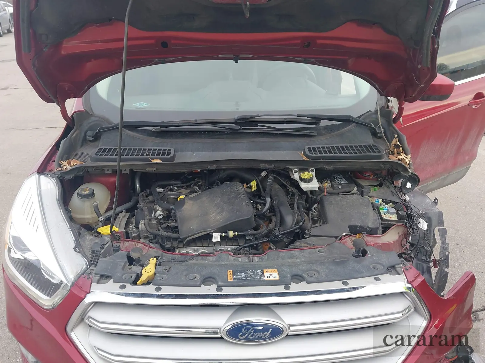 2019 Ford Escape SEL