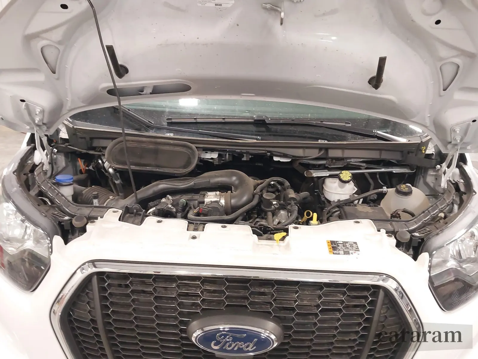 2024 Ford Transit Passenger XL