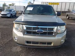 2010 Ford Escape XLT