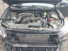 2023 Subaru Crosstrek Special Sports