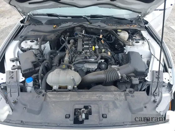2023 Ford Mustang EcoBoost