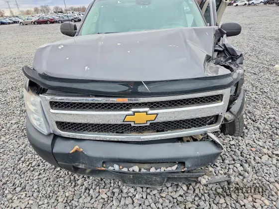 2010 Chevrolet Silverado 1500 Work Truck