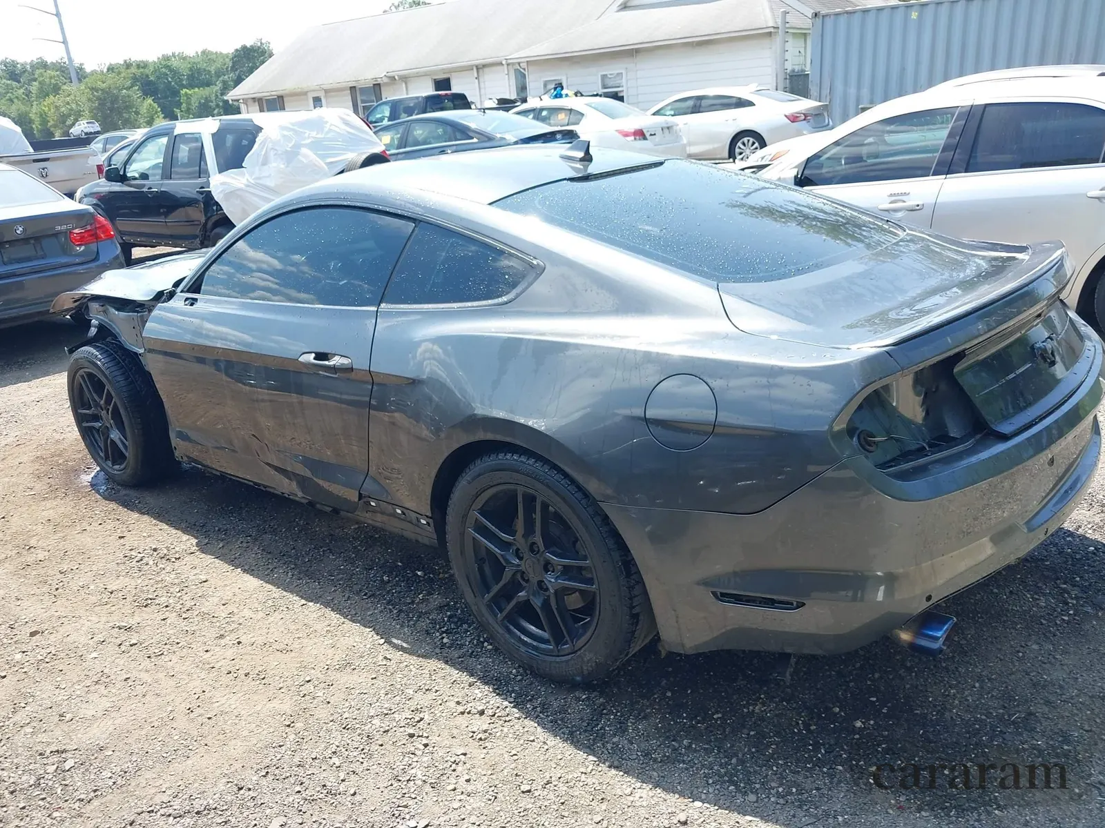 2020 Ford Mustang EcoBoost