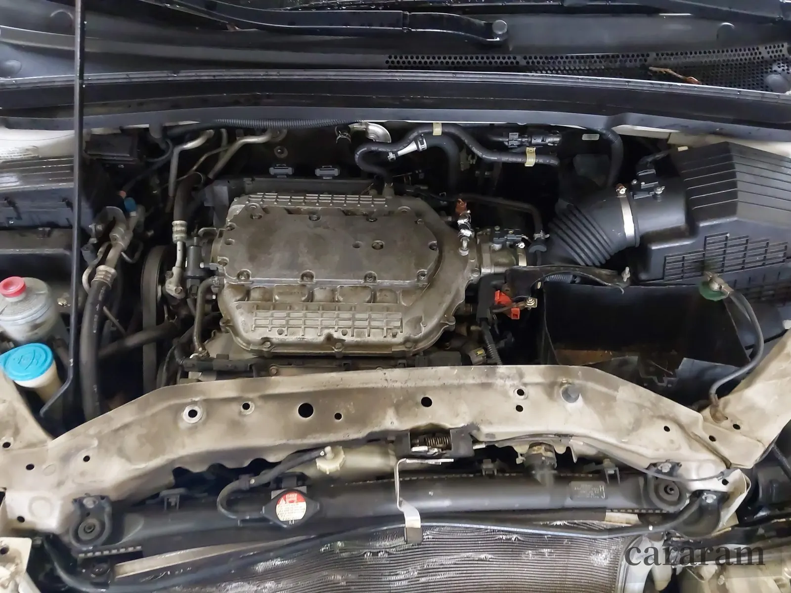 2007 Honda Odyssey EX-L