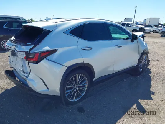 2022 Lexus NX 350h Luxury