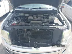 2010 Ford F-150 XL