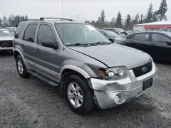 2007 Ford Escape XLT