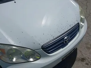 2003 Toyota Corolla S