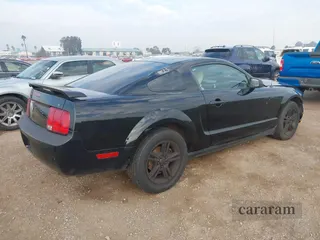 2006 Ford Mustang Standard