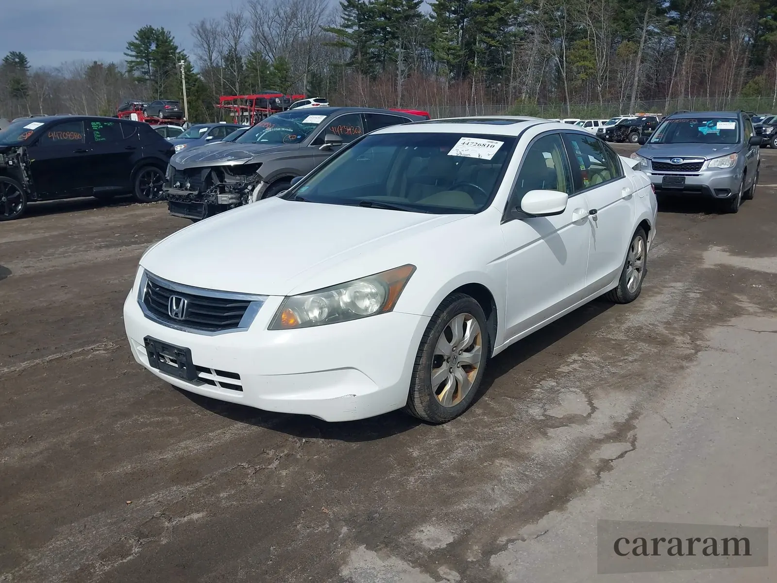 2009 Honda Accord EX-L