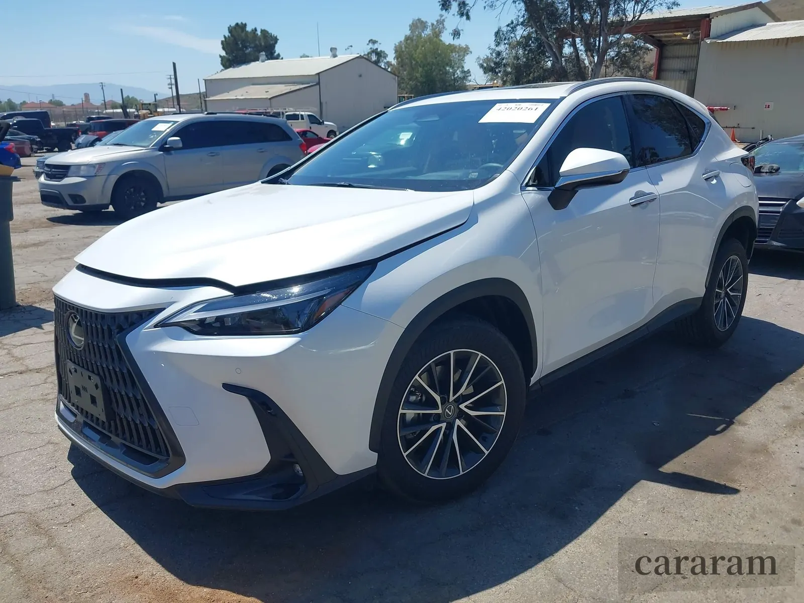 2025 Lexus NX 250 Premium