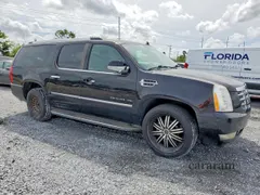 2010 Cadillac Escalade ESV Luxury