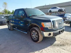 2010 Ford F-150 XL