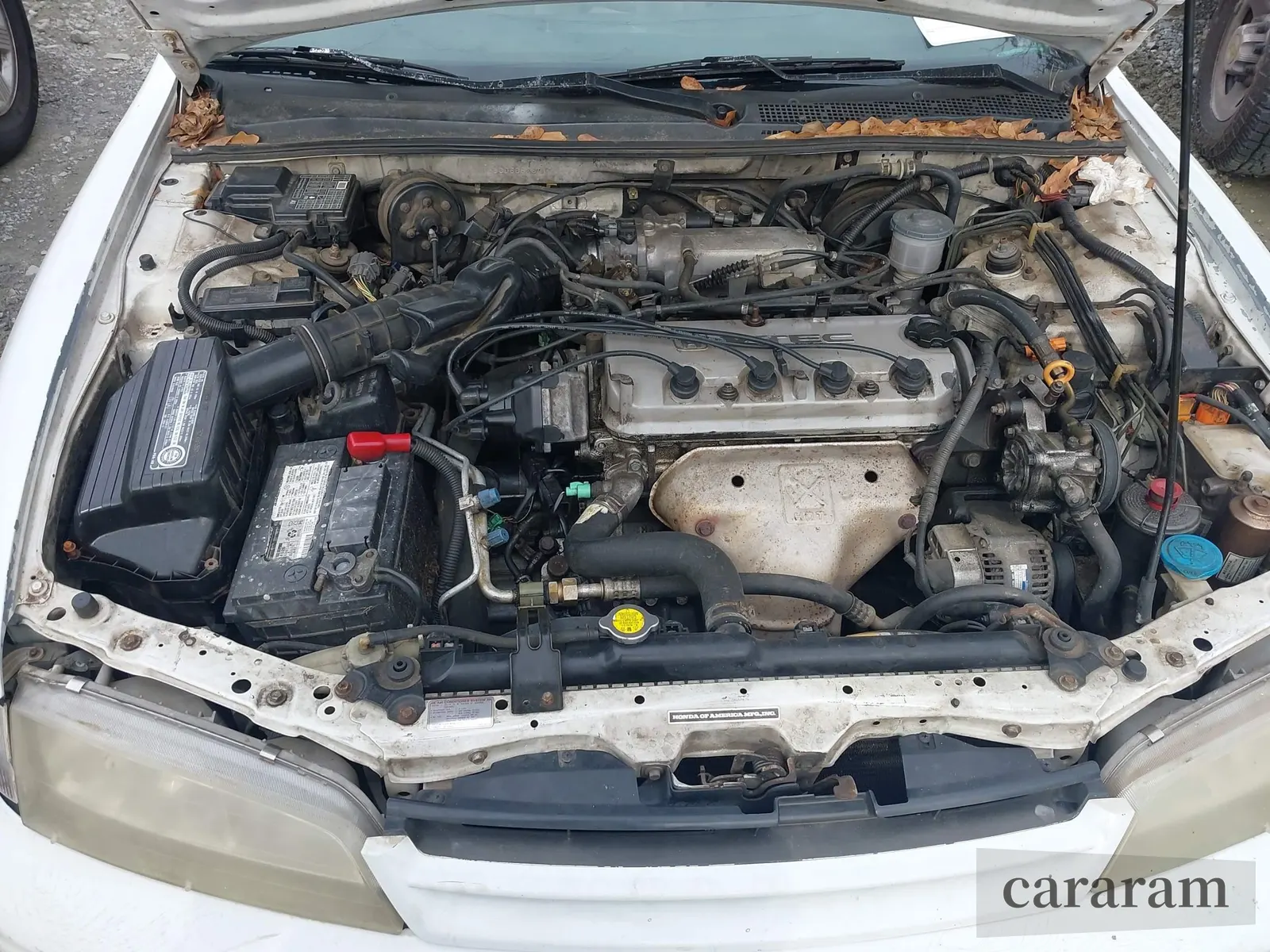 1995 Honda Accord EX