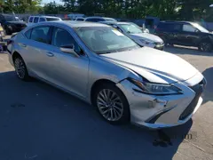 2021 Lexus ES 300h Luxury