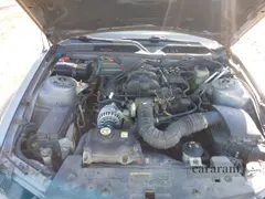 2006 Ford Mustang Standard