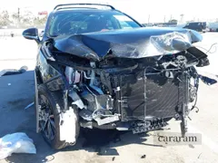 2025 Lexus NX 250