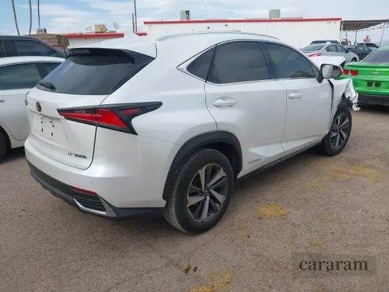 2019 Lexus NX 300h