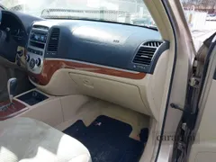 2007 Hyundai Santa Fe SE