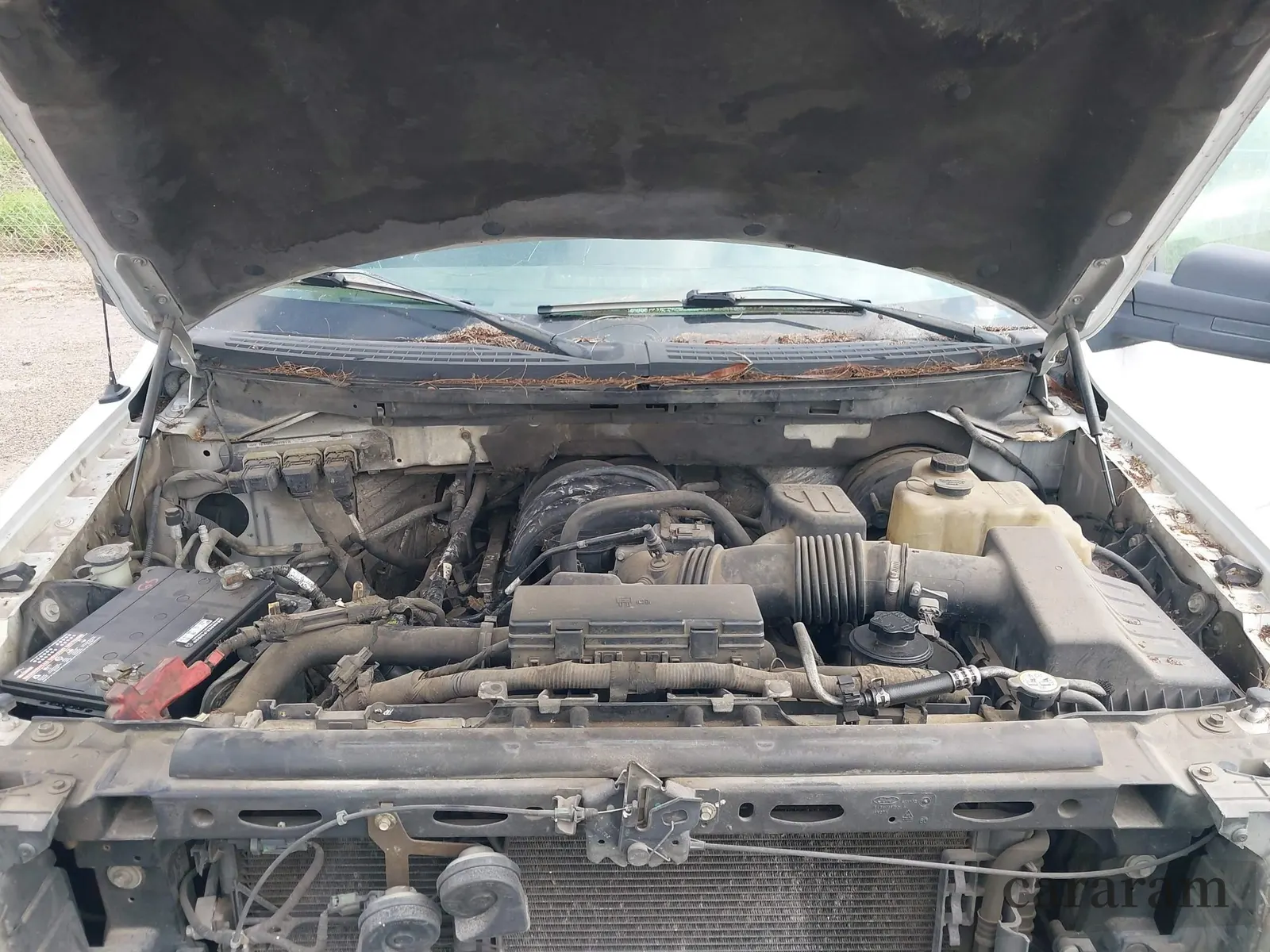 2009 Ford F-150 XL