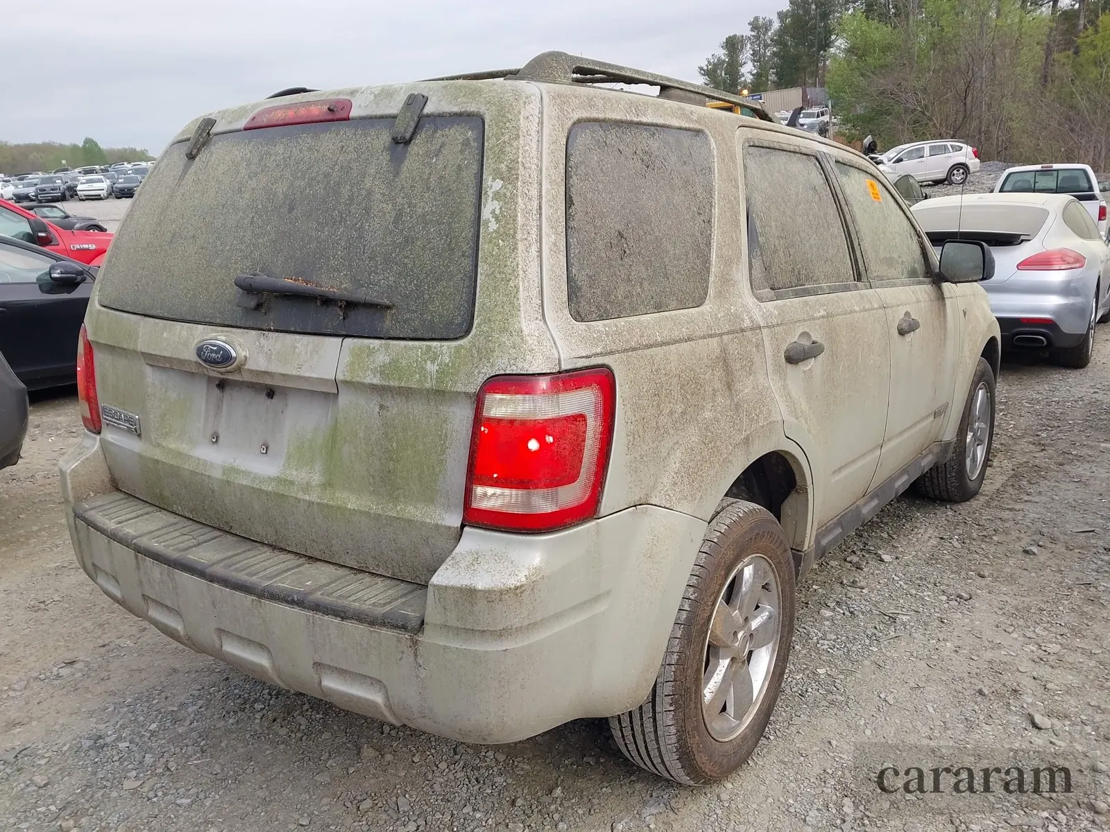 2008 Ford Escape XLT