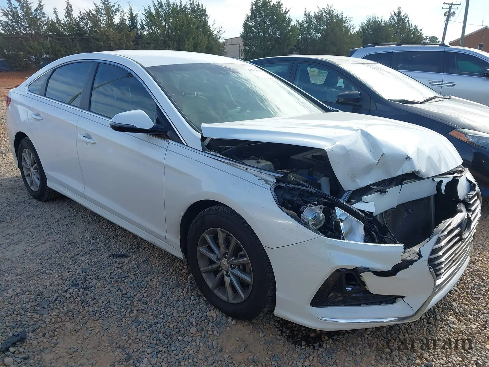 2019 Hyundai Sonata SE