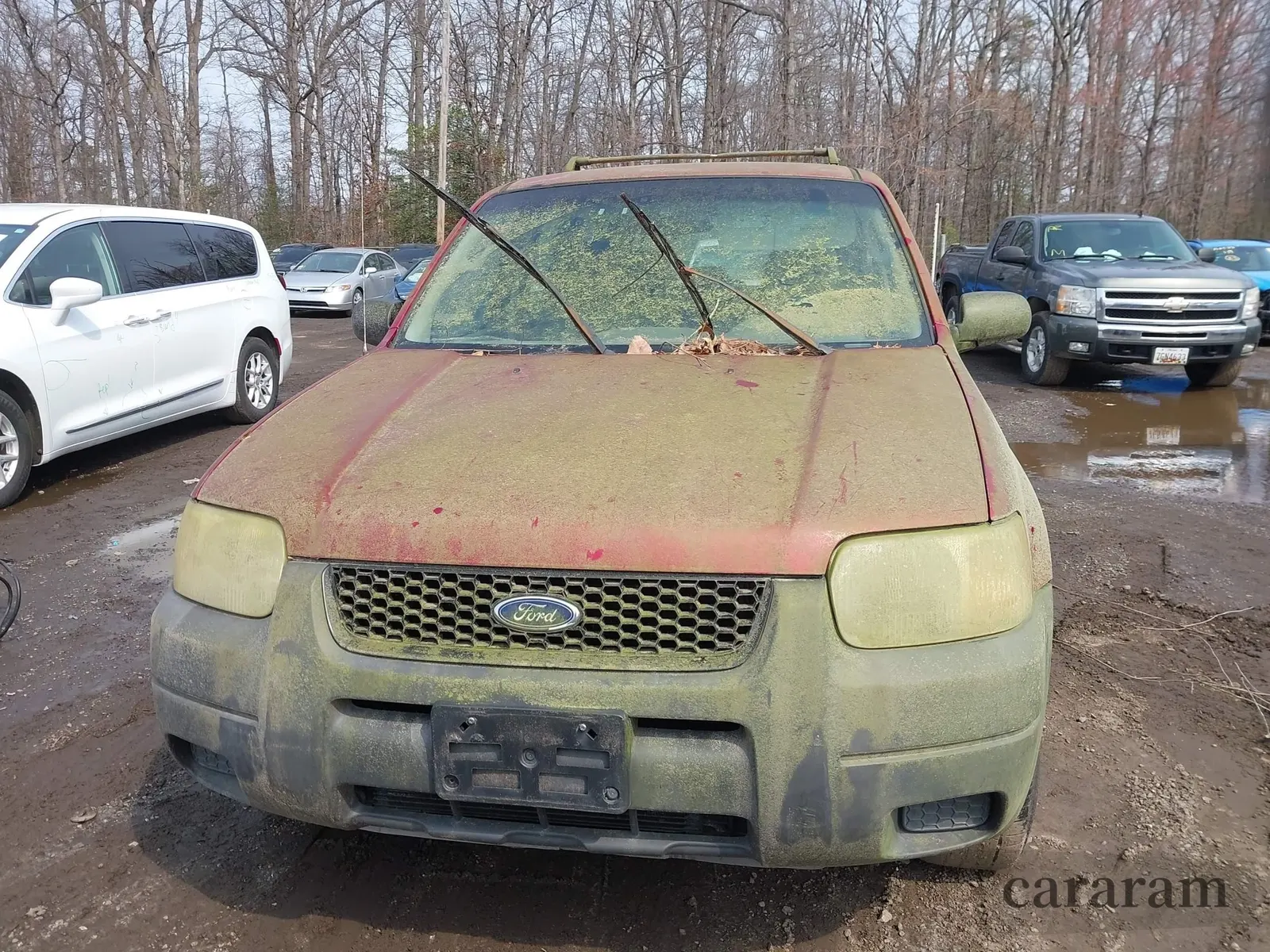 2003 Ford Escape XLS Popular