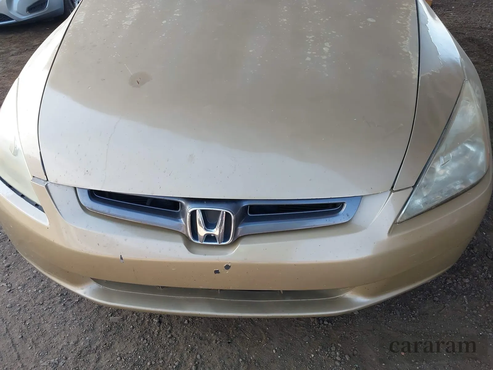 2005 Honda Accord EX-L