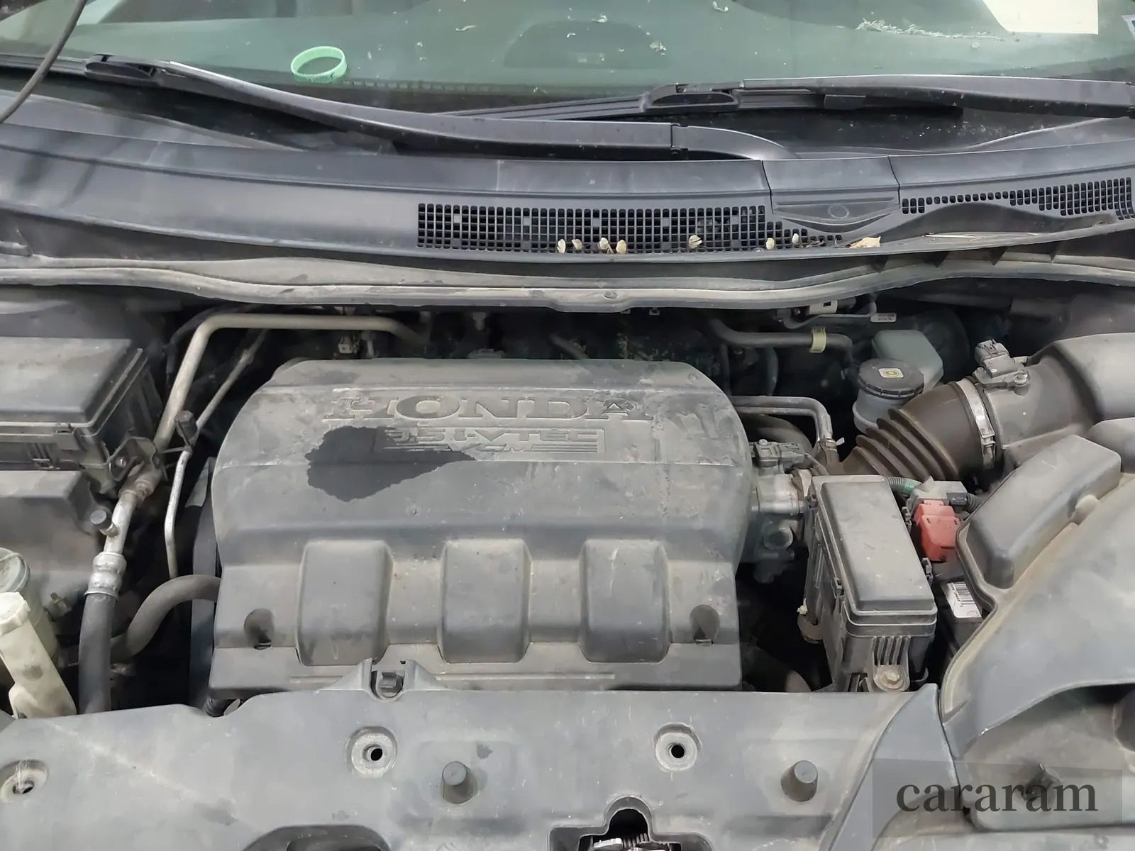 2013 Honda Odyssey EX-L