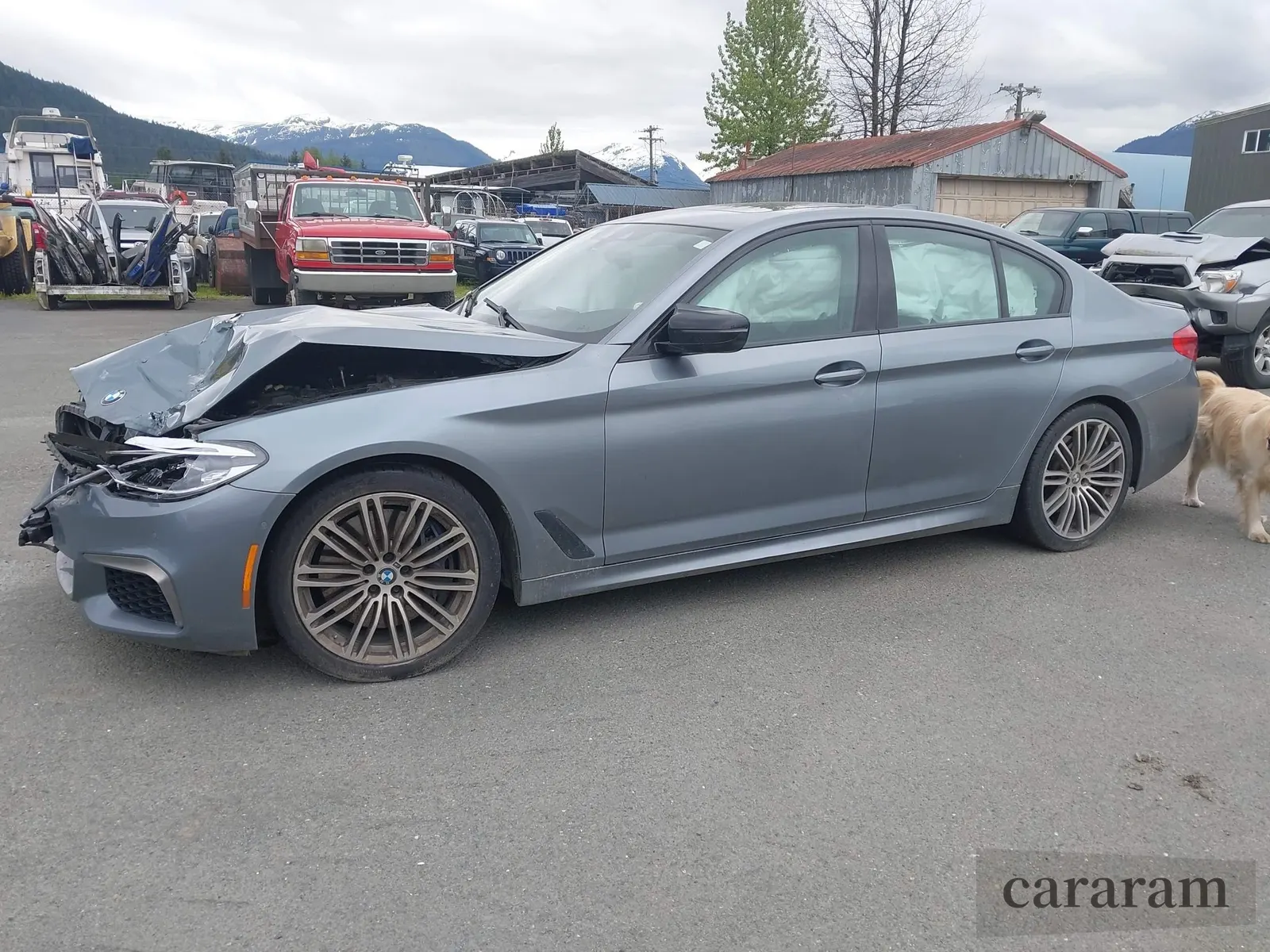2019 BMW 5 Series M550i xDrive
