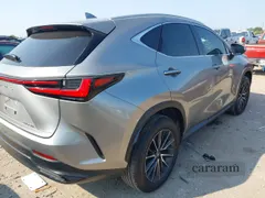 2024 Lexus NX 250