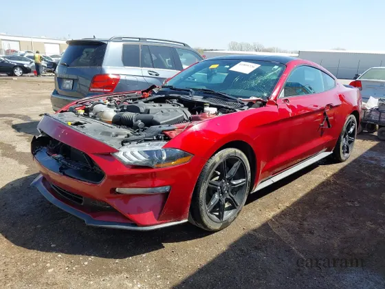2019 Ford Mustang EcoBoost