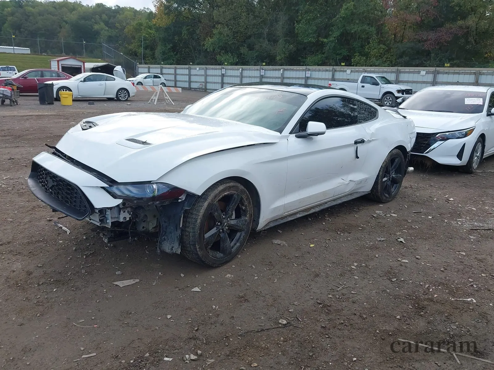 2019 Ford Mustang EcoBoost