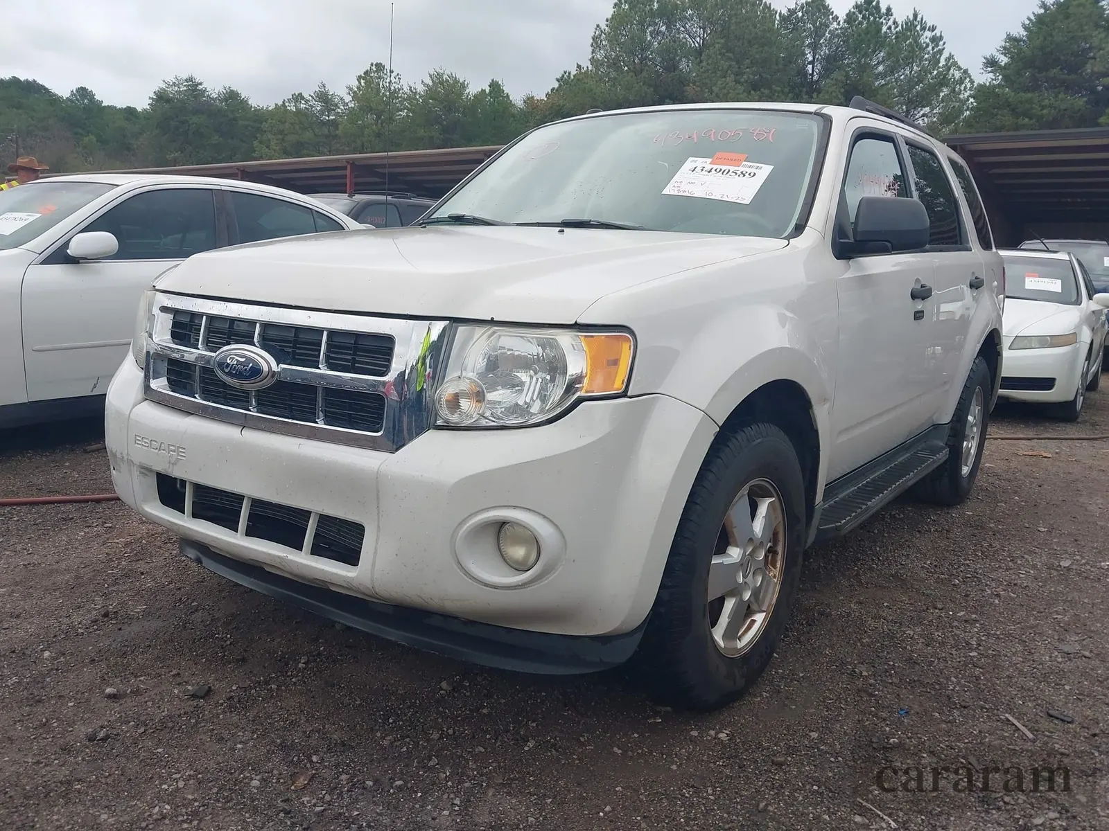 2011 Ford Escape XLT