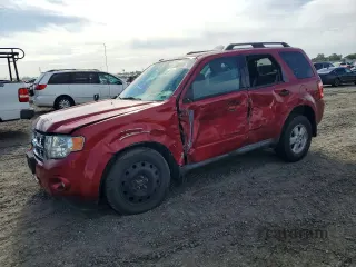 2009 Ford Escape XLT